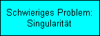 Schwieriges Problem:
Singularität