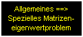 Überführung des Allgemeinen in das Spezielle Matrizeneigenwertproblem, Wahrung der Symmetrie, Beispiel