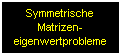 Aussagen über das Spezielle Matrizeneigenwertproblem mit symmetrischer Matrix und das Allgemeine Matrizeneigenwertproblem mit symmetrischen Matrizen